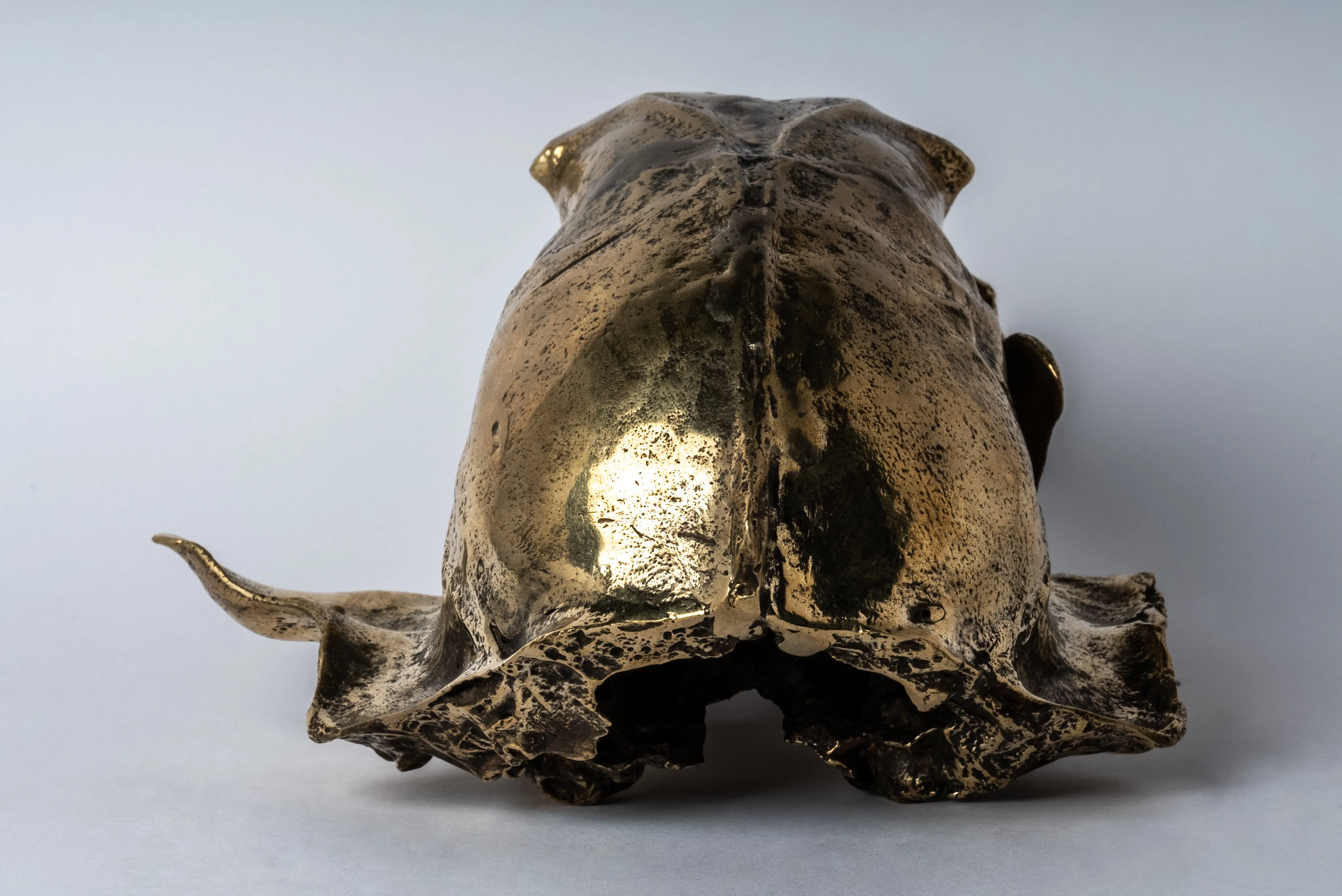 Bear Skull (PR B)