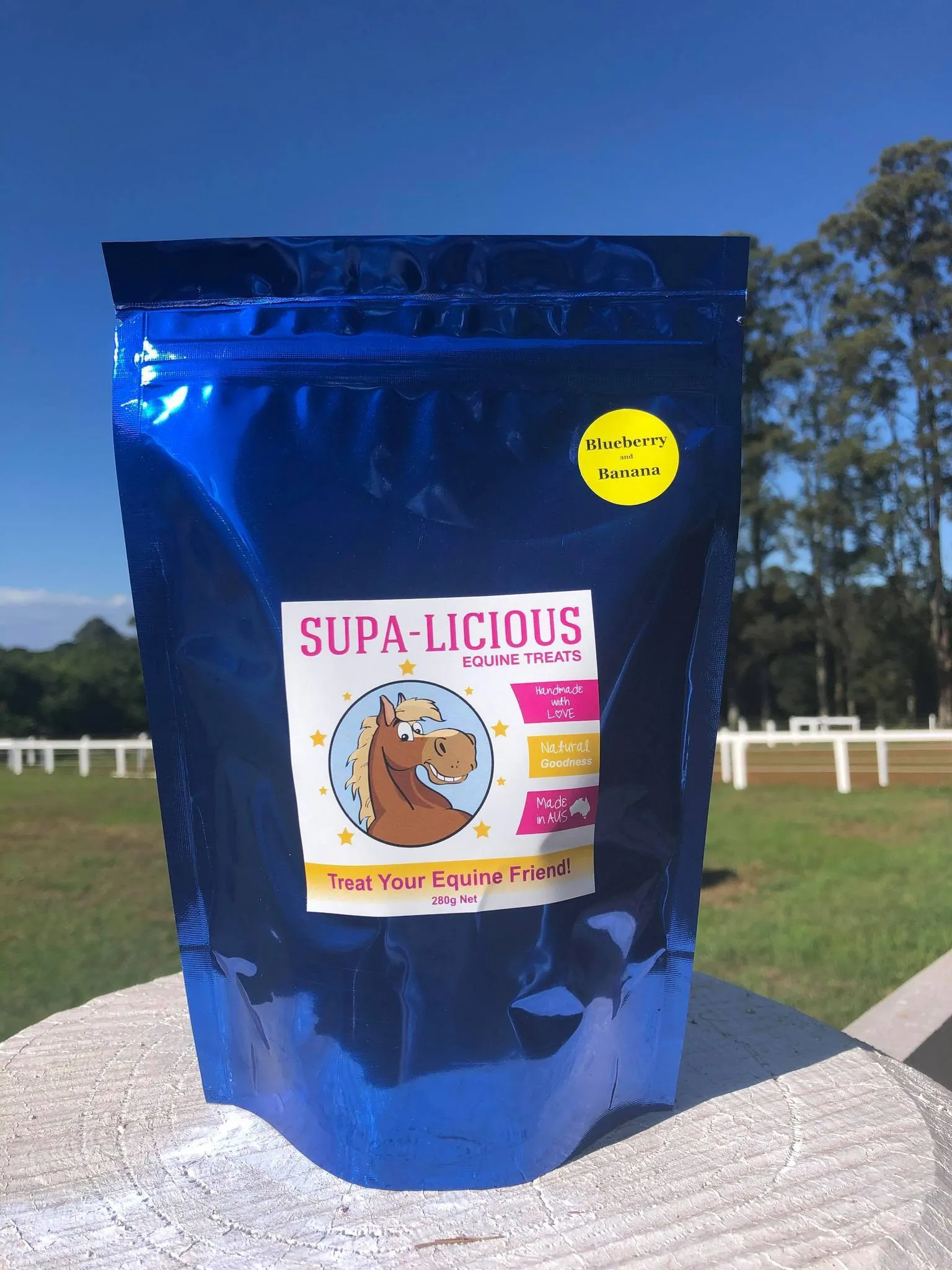 Supa-Licious Banana & Blueberry Treats all